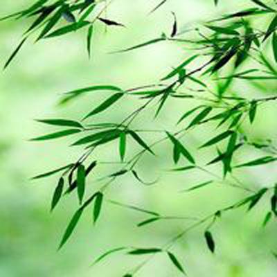 冒险王3ol手游官方下载